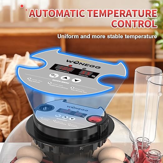 incubators for hatching eggs，12 Egg Incubator,egg incubator with automatic egg turning and humidity control，incubator for chicken eggs，chicken incubators for hatching eggs，egg incubator - Image 3