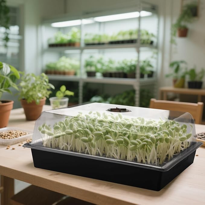 10-Pack Leak-Proof Humidity Domes, Plastic Clear Seed Starter Dome, Seed Starter Tray Covers Humidifying and Insulating for Greenhouse Germination and Garden Growing (16"×13", 4" Height) - Image 4