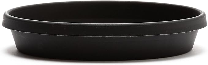 Bloem Terra Resin Saucer Tray: 6.5" Bottom Width - Black - Matte, Durable, Ribbed Bottom, Indoor and Outdoor, Fits 8" Terra Pots by Bloem