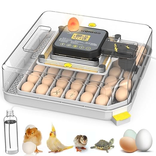 4th Gen – 48 Egg Fully Automatic Incubator, 2026 UpgradedDesign, Intelligent Sensor-Based Humidity & Temp Control, Custom Days, Adjustable Auto Turning & Stop, Chick Separator, Flexible Egg Spacing by Unknown