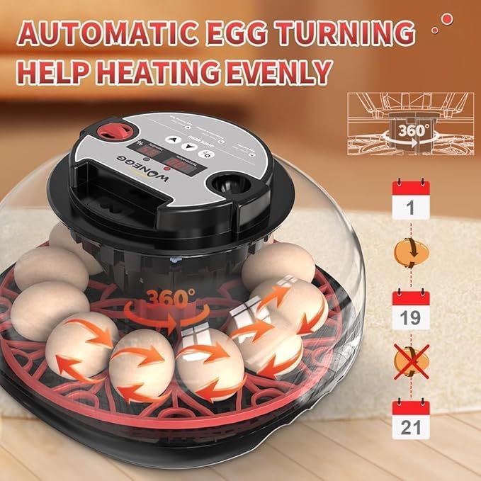 Explore+ 12 Egg Incubator for Beginners, Multi-Level Adaptive Humidity (Auto-Refill & Dual-Bottle) & Stable Temp Control, Auto Egg Turning, Real-Time Display, Candler for Hatching Poultry Eggs - Image 4