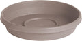 Bloem Terra Resin Saucer Tray: 8" Bottom Width - Pebble Stone Beige - Matte, Durable, Ribbed Bottom, Indoor and Outdoor, Fits 10" Terra Pots by Bloem