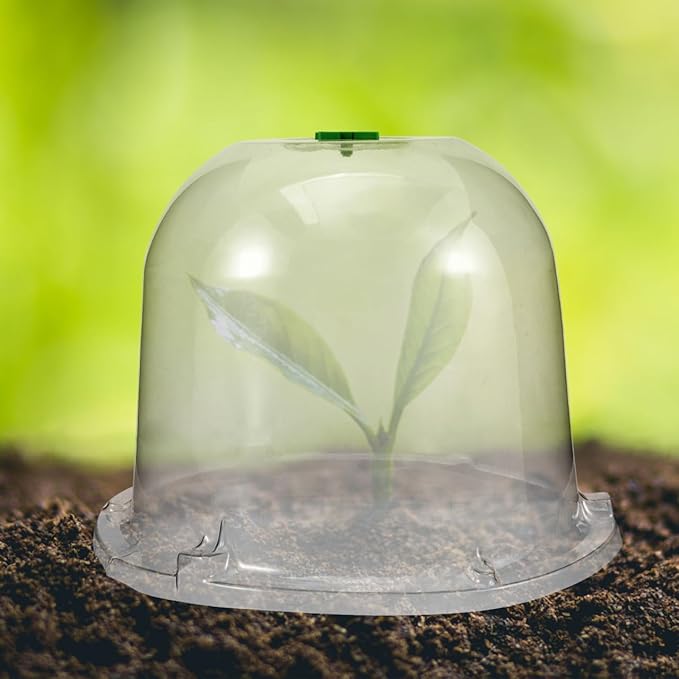 Mikikit Garden Cloche Dome Seedling Cover Plant Humidity Dome Nursery Protector with Air Vent Transparent Grow 10.23X10.23X7.87In - Image 8