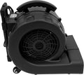 750W Commercial Floor Dryer, 750W Portable Air Mover & Commercial Floor Blower with 3 Speed Settings, 20-120 Min Timer & 3 Blowing Angles for Industrial/Commercial Use (Black) by Unknown