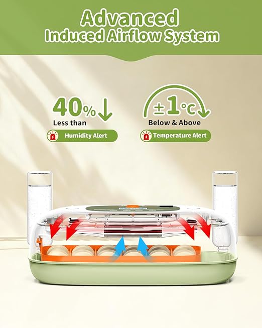 Egg Incubator for 24 Chicken Eggs with Automatic Turner, Digital Temperature Control & Humidity Display, Candler, Poultry Hatcher for Chicken, Duck, Quail, Birds (Green) - Image 3