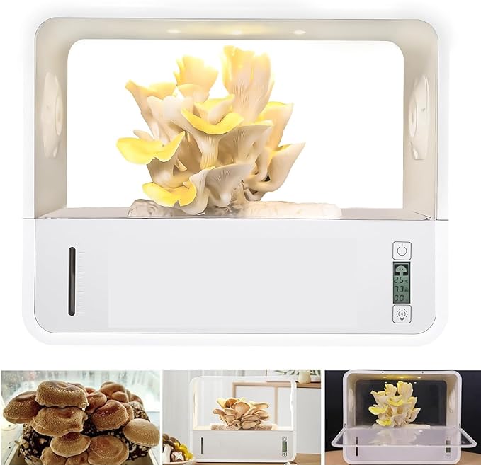 Mushroom Grow Box with LCD Display and LED Grow Light, Smart Mushroom Growing Tent with Auto-Adjusts Temperature and Humidity, 3-5 Days Picking, Soilless Visual Still Air Mushroom Box for Spores by Unknown