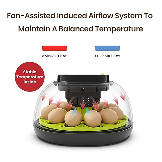 Incubators for Hatching Eggs 12 Egg Incubator with Automatic Egg Turning and Humidity Control,Egg Candler,Auto Water Replenishment,for Chicken Eggs and Quail Egg M12H - Image 2