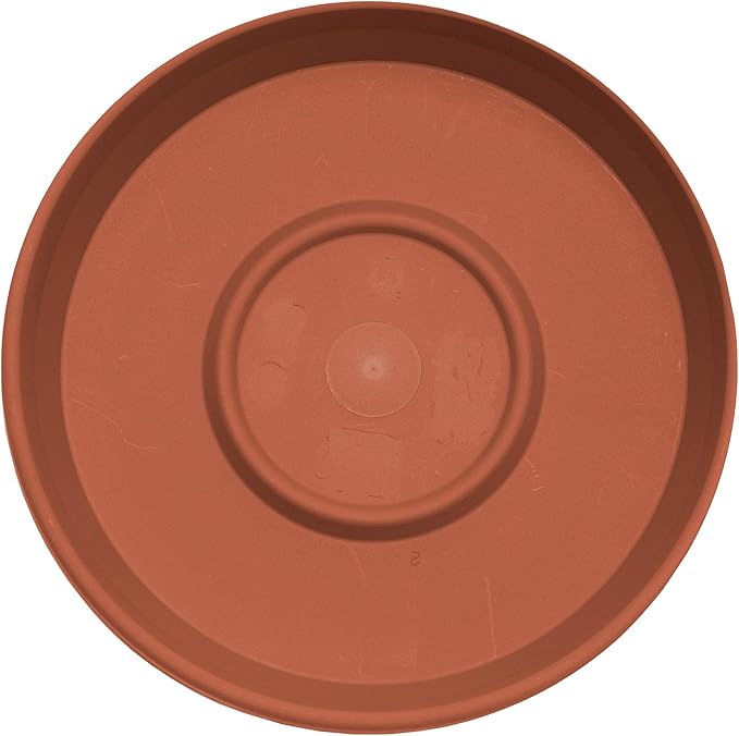 Bloem Terra Resin Saucer Tray: 4.75" Bottom Width - Terra Cotta - Matte, Durable, Ribbed Bottom, Indoor and Outdoor, Fits 6" Terra Pots - Image 5