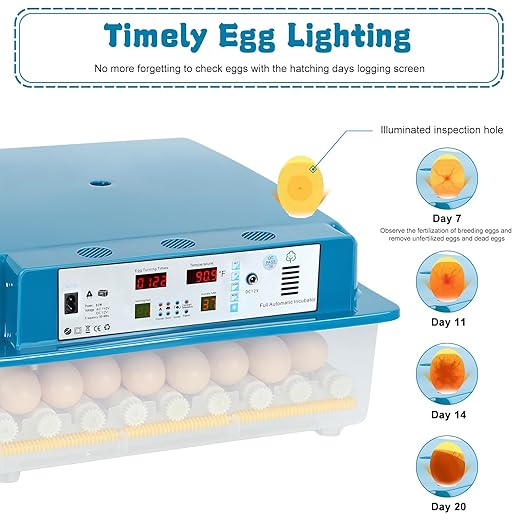 64 Egg Incubators for Hatching Eggs, with Auto Turner & Humidity Control, Automatic Egg Turning Rotates 360 Degrees, Visual Control Panel, Hatchable Duck/Goose/Bird Eggs for Home, Farm, Classroom - Image 7