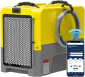 ALORAIR 180PPD Commercial Dehumidifier for Crawl Space & Basement, Wi-Fi APP Controls with Pump, Capacity up to 85 PPD at AHAM Condition, for Large Space, Job Sites, Yellow by ALORAIRSOLUTIONSINC0J0DC