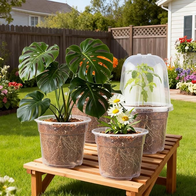 6 Inch Clear Nursery Pots with Humidity Dome, 30 Pack Reusable Seed Starter Pot with Drainage Holes, Transparent Plastic Plant Seedling Pots for Propagation Indoor Plants Outdoor Gardening - Image 7