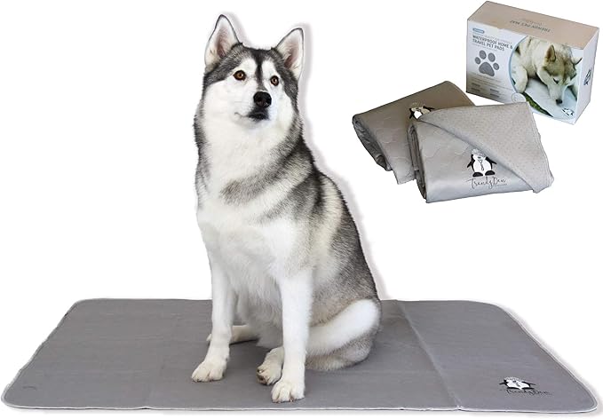 Washable Pee Pads for Dogs XXL (2 Pack), Reusable Puppy Training Pads, Ultra Absorbent & Waterproof Pet Mat for Senior Dogs, Non-Slip, Floor & Furniture Protector (36"x48") by Trendy Den Creations by TRENDY+DEN+CREATIONS