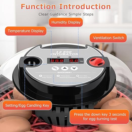12 Egg Incubators for Hatching Eggs Automatic Egg Incubator with Temperature Control Humidity Control and Display for Chicken Duck Quail Eggs Auto Turner, Black red - Image 3