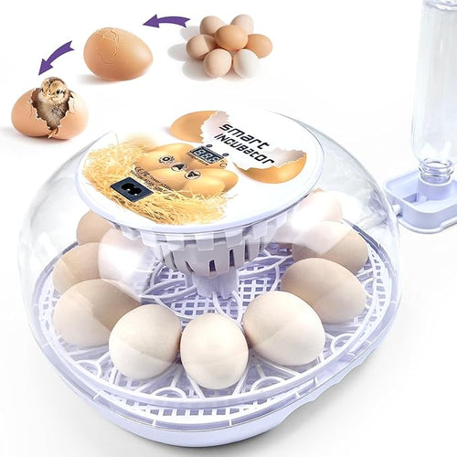 12 Egg Incubators for Hatching Eggs | with Auto Egg Turner, Temp & Humidity Control | 360° Viewing for Chicken, Duck, Quail Eggs | Ideal for Farm, School, Home by LUODIRGB