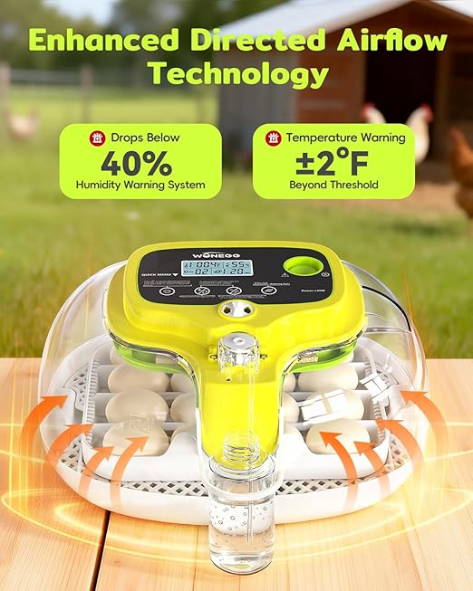 Incubators for Hatching Eggs, 2026 Upgraded 16 Eggs Incubator with Automatic Turner, Digital Temperature Control & Humidity Display and Led Candler, Poultry Hatcher for Chicken, Duck, Quail, Birds - Image 3
