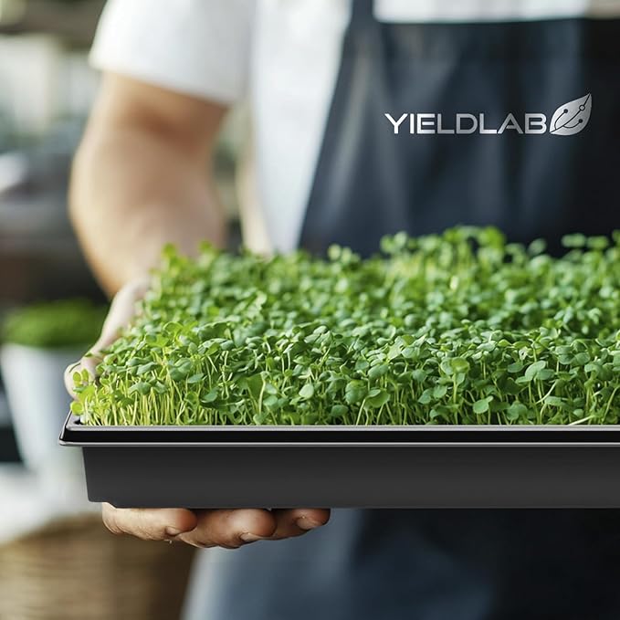 10x20 Inch Black Plastic 10 Pack Plant Propagation Tray – Growing Trays for Garden, Planting, Seedling, Soil & Hydroponic Horticulture - Microgreen Trays Grow Plants - No Drain Holes - Image 7
