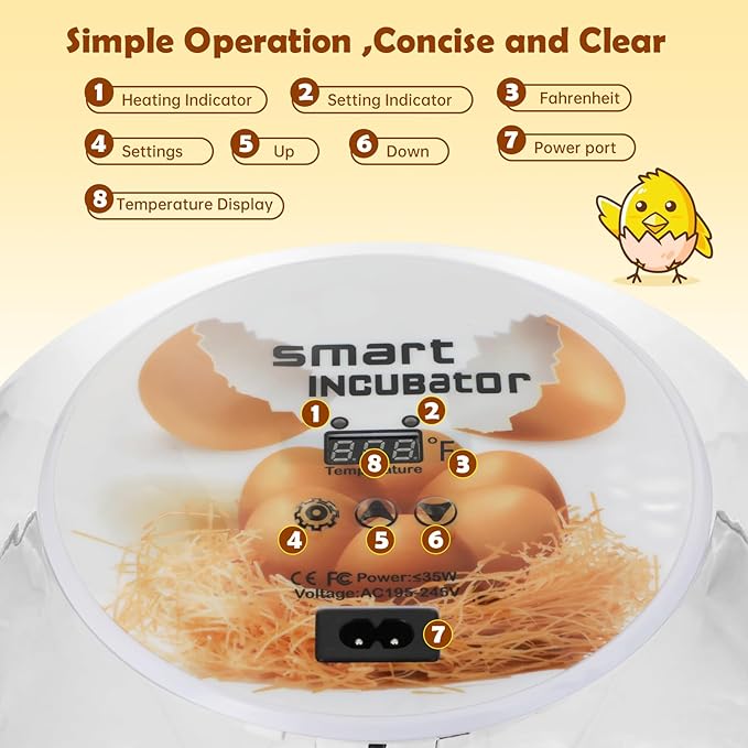 Egg Incubator for Hatching Chicks, Automatic Egg Turner Holds 12 Eggs, Smart Incubator 360° Clear Window with Temperature Display Egg Candler for Small Poultry Chickens Ducks Quails Eggs - Image 5
