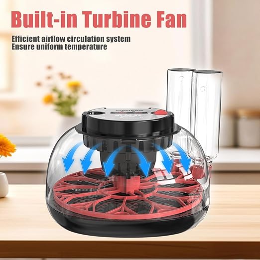 Incubators for Hatching Eggs, 12 Egg Incubator with Automatic Egg Turning and Humidity Control, 360° View Incubadora De Huevos De Gallina, Egg Candler, Incubator for Chicken Eggs, Ducks, Goose, Quail - Image 4