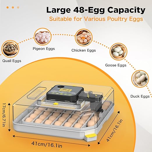 Incubator for Hatching 48 Eggs with Automatic Egg Turning and Humidity Control, Egg Incubator with Temperature, Incubators for Chicken, Ducks, Goose, Quail, Pigeon, Grey - Image 2