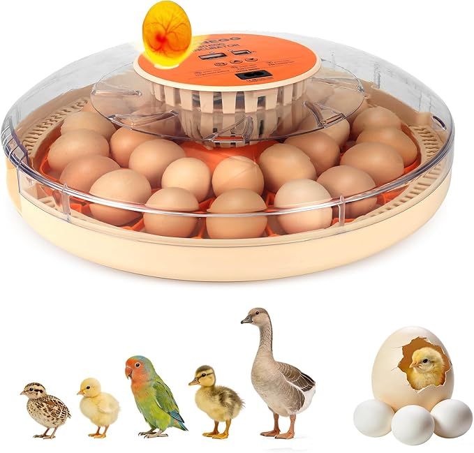 Core Max 30 Egg Incubator for Large-Batch Hatchers, Hands-On Control, Auto Egg Turning, Manual Water Fill, Consistent Temp, Real-Time Display, Candler for Chicken, Goose, Duck, Quail, Pigeon, Turkey by Unknown