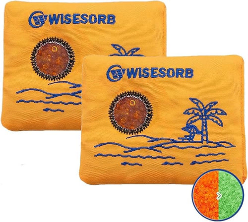 100gx2pcs Rechargeable Desiccant Packs for Storage, Color Indicating Silica Gel Packets Moisture Absorbers with Visible Window, Reusable Dehumidifier Bags for 3D Filaments Electronics Camera by Wisesorb