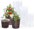 homenote Clear Nursery Pots for Plants,4/5/6.7 Inch Plant Pot for Planting Plastic Seedling Pots with Drainage Holes Seed Starter Pot Flower Pots High Transparency with 20 Plant Labels (30 Pack) by HOMENOTE