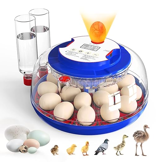 Incubators for Hatching Eggs, 18 Eggs Incubators with Egg Candler, Automatic Egg Turner, Temperature & Humidity Control, Full Viewing for Chicken, Duck, Quail, Goose, Parrot and Pigeon by MegapuxinOfficial