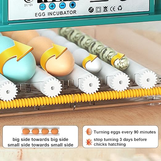 Incubators for Hatching 16 Eggs, Egg Incubator with Automatic Egg Turning and Humidity Fill, Temperature Control, Incubator with Adjustable Rollers for Chickens, Ducks, Geese, and Quails - Image 4