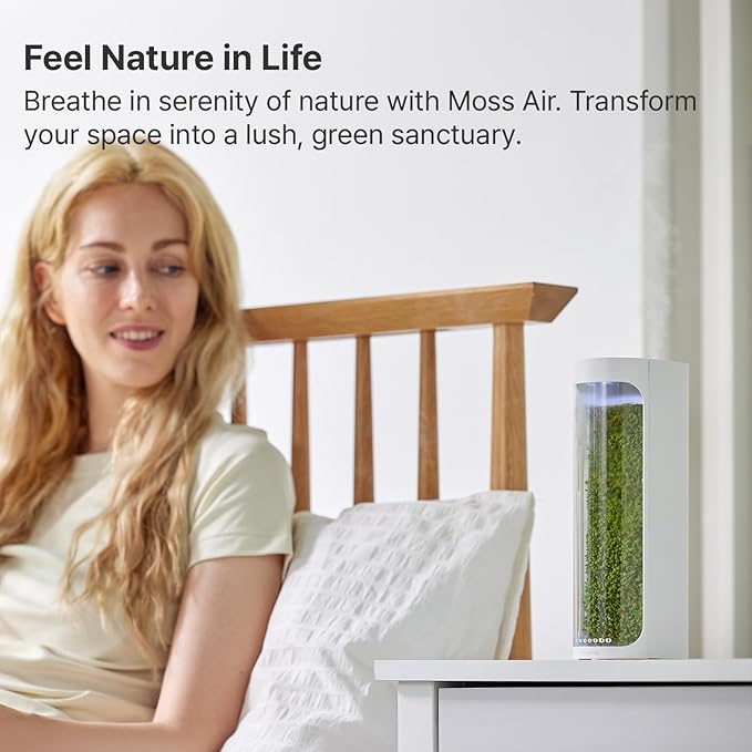 Moss Air – Living Moss Terrarium Humidifier | Soothing Mist Fountain & Ambient Light | Zen Desk Decor, Aesthetic Room Decor | Portable & Whisper-Quiet - Image 2