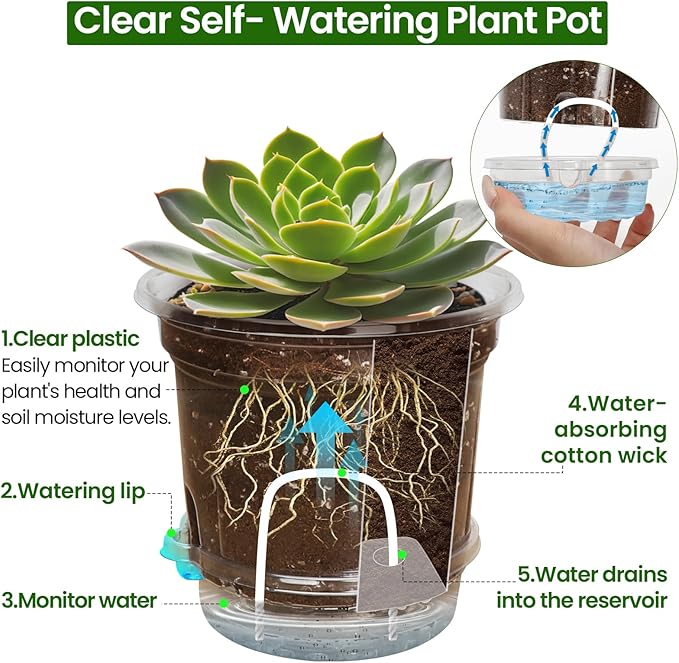 18 Pack 6.5/5/4 Inch Clear Self Watering Plant Pots with Bottom Water Tray & Watering Rope, Transparent Nursery Pots with Drainage for Seedlings, Herbs, and Houseplants - Image 4