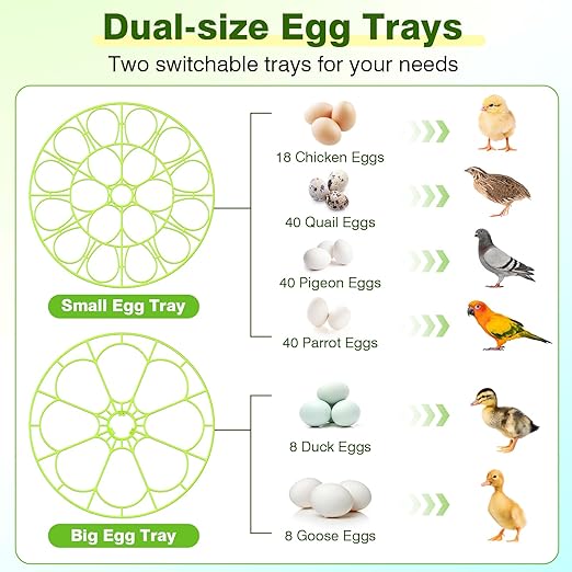 18 Egg Incubators for Hatching Eggs, Egg Incubator with Temperature Control, Humidity Display, Auto Egg Turner, Egg Candler, 2 Size Egg Trays, Digital Incubator for Chicken, Duck, Quail Eggs - Image 6