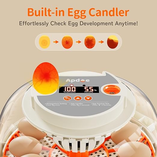 Egg Incubator with Temperature and Humidity Control, Automatic Egg Turning, Egg Candler, External Water Bottle, Adjustable Air Vent, 360° Clear View, for Chicken, Duck & Quail Eggs, APDOE HatchPro 12 - Image 5