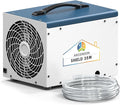 ARGENDON Dehumidifier for Crawlspace Basement, Commercial Dehumidifier with Drain Hose 70 PPD, Compact, Ideal for Water Damage Storage Up to 1000 Sq Ft, 5-Year Limited Warranty by Argendon