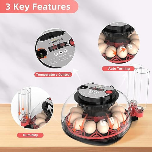 12 Egg Incubator for Hatching Chicken, Duck, Quail Eggs – 360° Visible Lid, Automatic Turning & Humidity Control, Built-in Egg Candler – Ideal for Home & Classroom Science Projects - Image 2