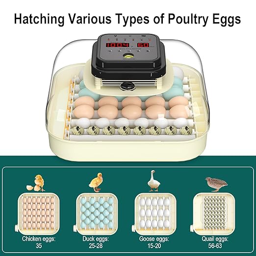 35 Egg Incubator with Automatic Egg Turning and Humidity Control, Incubator for Chicken Eggs, Quail, Duck Eggs, with Egg Candler - Image 6