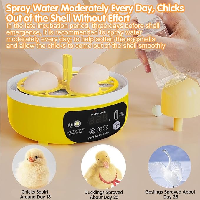 4 Eggs Mini Incubator with Transparent Lid,7W Automatic Temperature Humidity Control,Household Small Poultry Hatching Machine,for Chickens Ducks Pigeons (Auto Turning) - Image 5