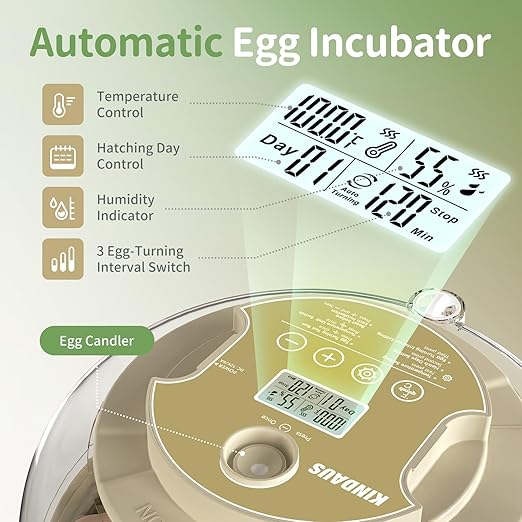 Large Capacity Egg Incubator for Hatching Eggs with Automatic Egg Turner, Adjustable Humidity & LED Display, Clear Lid Incubator for Chicken, Quail & Poultry Eggs (18 Chicken Eggs) - Image 2