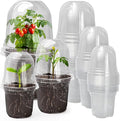 MIXC Clear Nursery Pots with Humidity Domes, 5/4/3.5 Inch Reinforced Transparent Plastic Pots for Planting with Drainage Holes, for Tomato Seedlings, Cactus, and Herbs, 30 Pack by MIXC