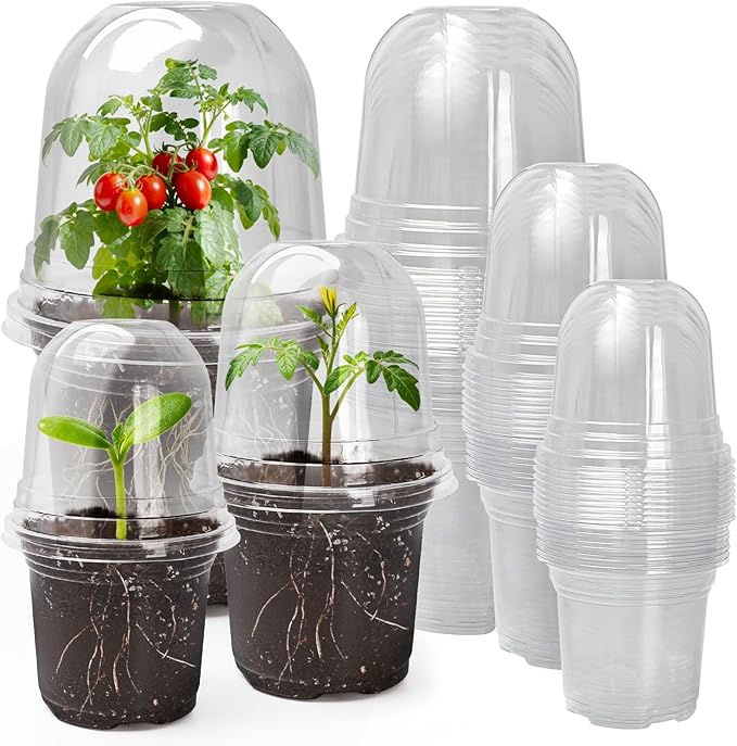 MIXC Clear Nursery Pots with Humidity Domes, 5/4/3.5 Inch Reinforced Transparent Plastic Pots for Planting with Drainage Holes, for Tomato Seedlings, Cactus, and Herbs, 30 Pack by MIXC