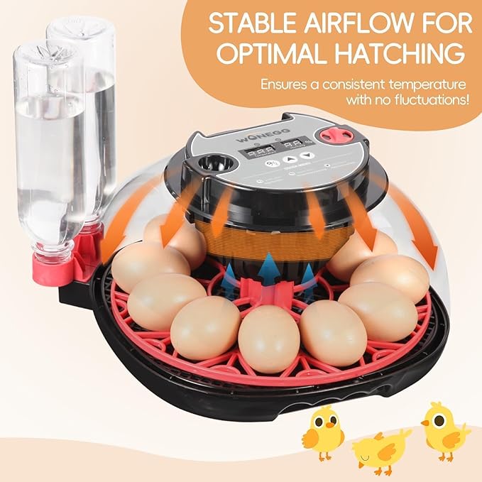 Simple Plus 12-Egg Incubator for Beginners, Full-Stage Adaptive Humidity (Dual-Bottle) & Temp Control, Auto Egg Turn, Real-Time Display, Candler for Hatching Poultry Eggs - Image 6