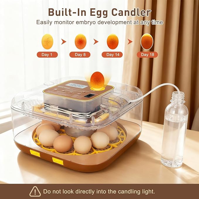 2026 New Auto 12-Egg Incubator for Beginners, Automated Incubation, Sensor-Based Precise Humidity & Temp Control, Custom-Interval Auto Turn & Auto Stop, Preset Incubation Days, Candler - Image 3