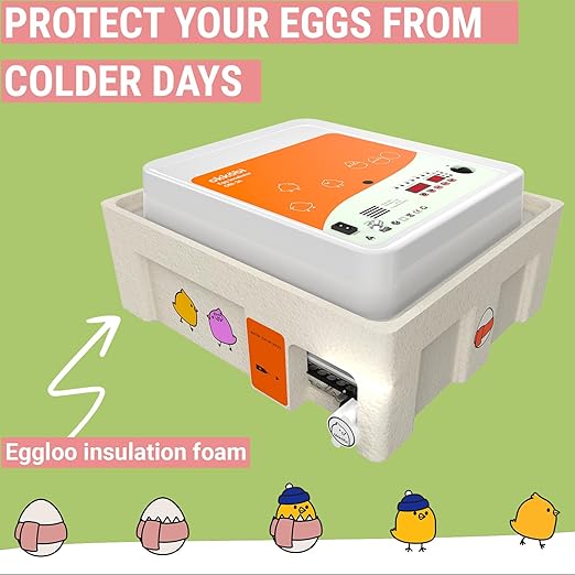 OBI-36 Egg Incubator for Hatching - 36 Eggs - Stable Temperature & Humidity Control with Eggloo Insulation, Candler - Ideal for Families and Farms - Suitable for Chicken, Duck, Quail Eggs - Orange - Image 6