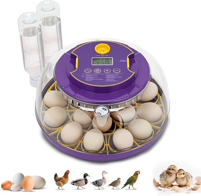 18 Egg Incubator for Hatching Eggs – With Automatic Egg Turning, Temp/Humidity Control, Egg Candler, Incubator Chicken, Duck, Goose, Quail, Parrot, Pigeon – For Home Farm Science Class Lab by Fanxier