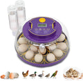 18 Egg Incubator for Hatching Eggs – With Automatic Egg Turning, Temp/Humidity Control, Egg Candler, Incubator Chicken, Duck, Goose, Quail, Parrot, Pigeon – For Home Farm Science Class Lab by Fanxier
