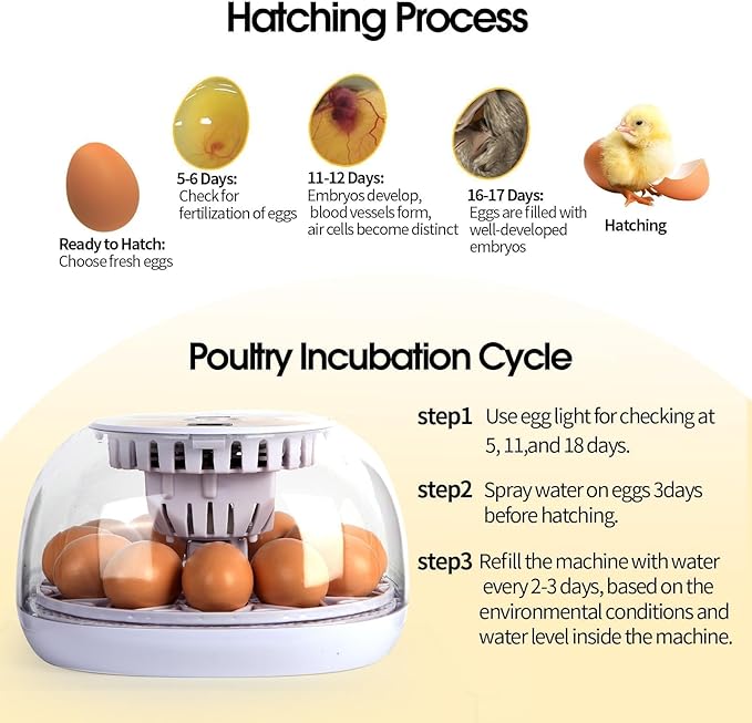 Explore 12 Egg Automatic Incubator for Beginners, Auto Egg Turning, Consistent Humidity with Auto-Refill Water Bottle & Stable Temp Control for Hatching Chicken, Goose, Duck, Quail, Pigeon, and Turkey - Image 6