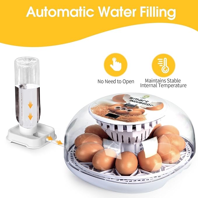 Explore 12 Egg Automatic Incubator for Beginners, Auto Egg Turning, Consistent Humidity with Auto-Refill Water Bottle & Stable Temp Control for Hatching Chicken, Goose, Duck, Quail, Pigeon, and Turkey - Image 3