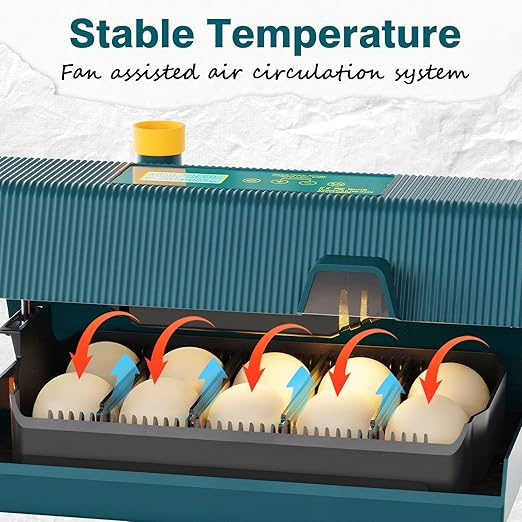 Incubator for Hatching Chicks, 10 Eggs Incubators with Automatic Egg Turning, Temperature and Humidity Control, Egg Candler, Hatching Incubator for Small Poultry, Chicken, Ducks (10 Eggs) - Image 4