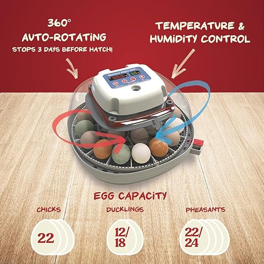 Harris Farms Nurture Right Egg Incubator for Hatching Chicks, Holds 12-22 Eggs, Automatic Turner with Temperature and Humidity Control, 360 Degree View with Clear Window, Incubator for Chickens - Image 2