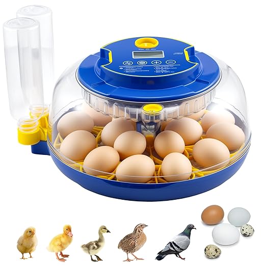 18 Egg Incubator Automatic Egg Turner Temperature & Humidity Control, Incubators for Hatching Eggs, Chicken, Ducks, Goose, Pigeon, Quail, Parrot Incubator Farm,Lab,Science Classroom,Home (Blue-18 Egg) by Soiiw