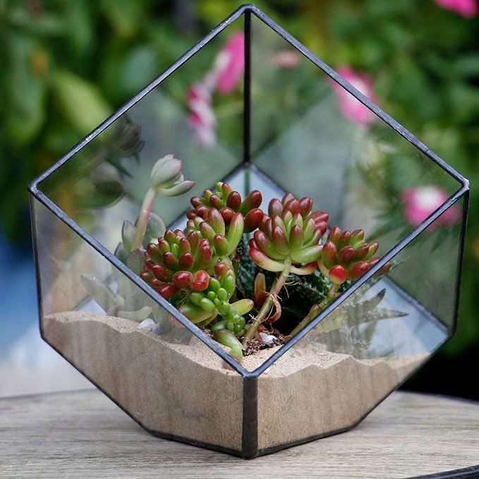 ELEGANTLIFE Glass Geometric Plant Terrarium Container, Flower Pot Tabletop Planter Decor Glass Display Box Succulent & Air Planter for Home Garden Office Decoration(Black Cubic Set of 2) - Image 3